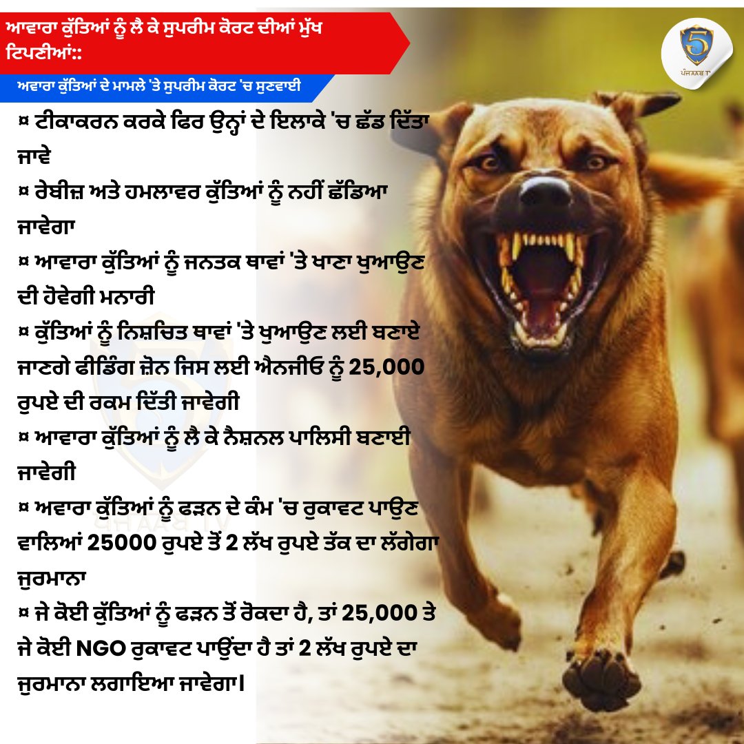 ਆਵਾਰਾ ਕੁੱਤਿਆਂ ਨੂੰ ਲੈ ਕੇ ਸੁਪਰੀਮ ਕੋਰਟ ਦੀਆਂ ਮੁੱਖ ਟਿਪਣੀਆਂ::