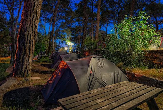 🏖️ Bugünün Kamp Alanı: İncekum Orman Kampı (Antalya – Alanya)

•📍 Konum: Antalya’nın Alanya ilçesine yaklaşık 25 km uzaklıkta, denize sıfır konumda bulunan geniş bir orman kamp alanı.

•🌿 Doğa &amp; Manzara: Masmavi Akdeniz’in tertemiz sahili, çam ormanlarının gölgesiyle
