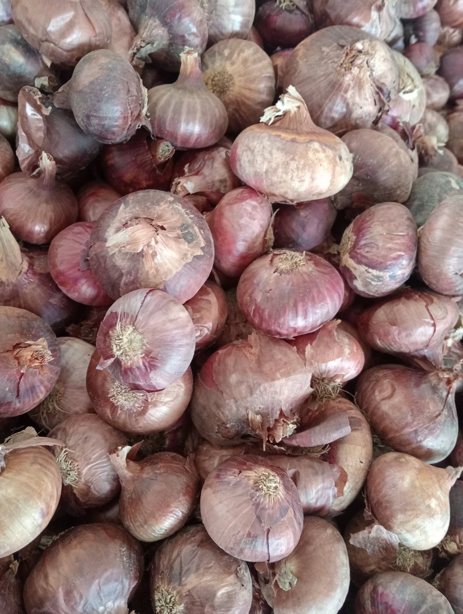 IPMAN97400530's tweet photo. @aajtak @ZeeNews 
@ABPNews 
 2.9  RS kg pyaj 
अब ये न्यूज कब बनेगी? 
 किसान अब क्या करे ,किसे कहे ? कोन सुने ? https://t.co/gkUKmd7Ci4