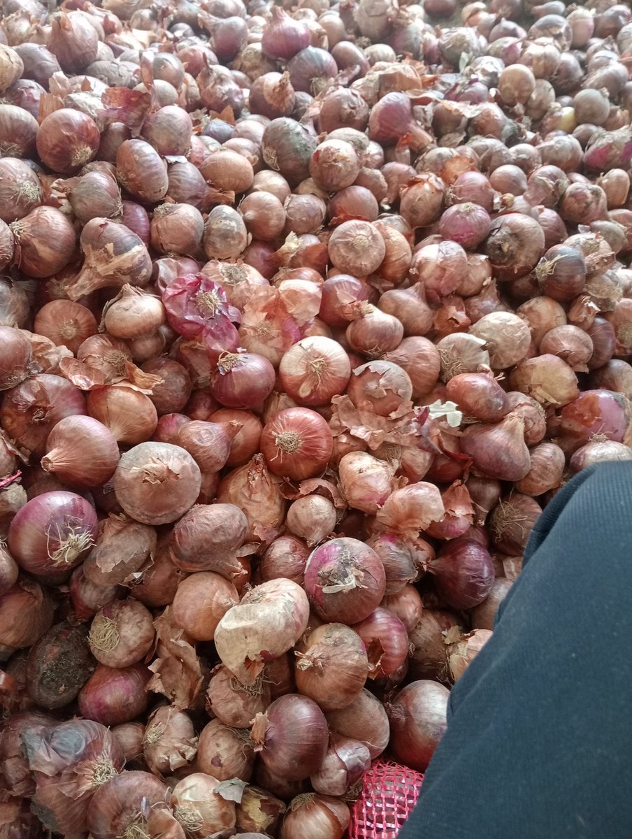 IPMAN97400530's tweet photo. @aajtak @ZeeNews 
@ABPNews 
 2.9  RS kg pyaj 
अब ये न्यूज कब बनेगी? 
 किसान अब क्या करे ,किसे कहे ? कोन सुने ? https://t.co/gkUKmd7Ci4