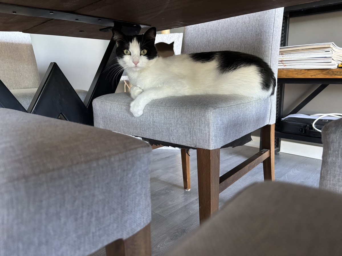 Coffee nin Babası (@muhsin_deveci) on Twitter photo İç dış parazit ve manikür işleri için veterinere gidip geldik🥴
Asabiymiş ve kimseyi de sevmiyormuş 😾 İç dış parazit ve manikür işleri için veterinere gidip geldik🥴
Asabiymiş ve kimseyi de sevmiyormuş 😾