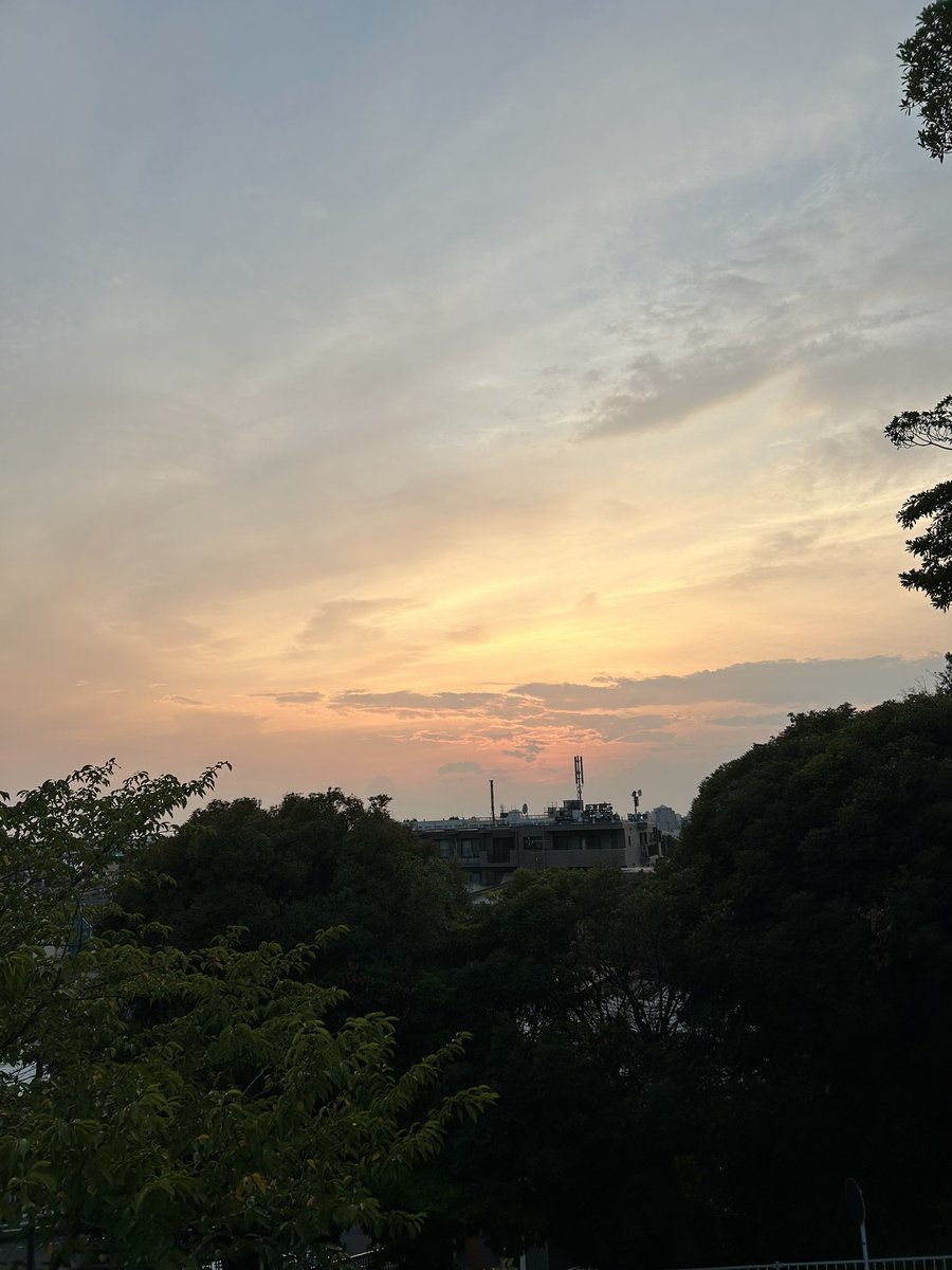 阿部健一 tweet media