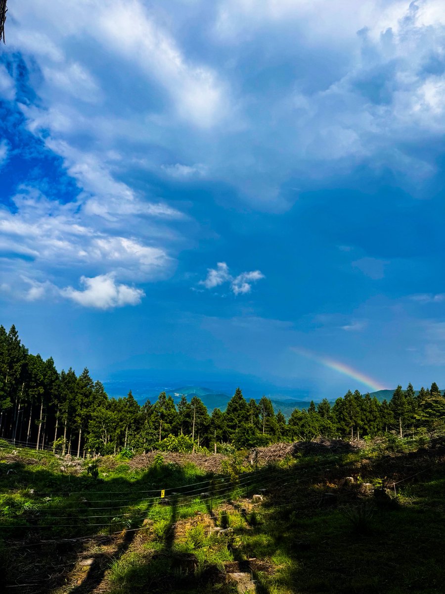 yamanoco_camp's tweet photo. 豪雨にあっても虹が見えると嬉しいね🌈
#YamaNoCo #ソロキャンプ #キャンプ #キャンプ好きと繋がりたい #camping #outdoorlife #bushcraft https://t.co/rRz0ByzKqV