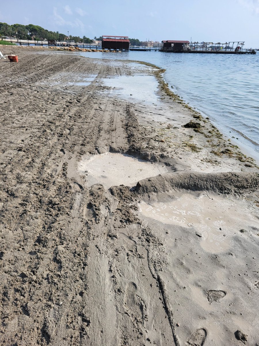 ManuelLa_Chica's tweet photo. La dejadez del @AytoSanJavier @regiondemurcia respecto a la Playa de Colón en Stgo de la Ribera es total, una playa que estaba fenomenal,  después de un mes tras una tormenta, ni tan siquiera pasan los tractores para allanar la orilla ni reponen arena. Abandono de una playa más. https://t.co/CxDFsJQ2ie