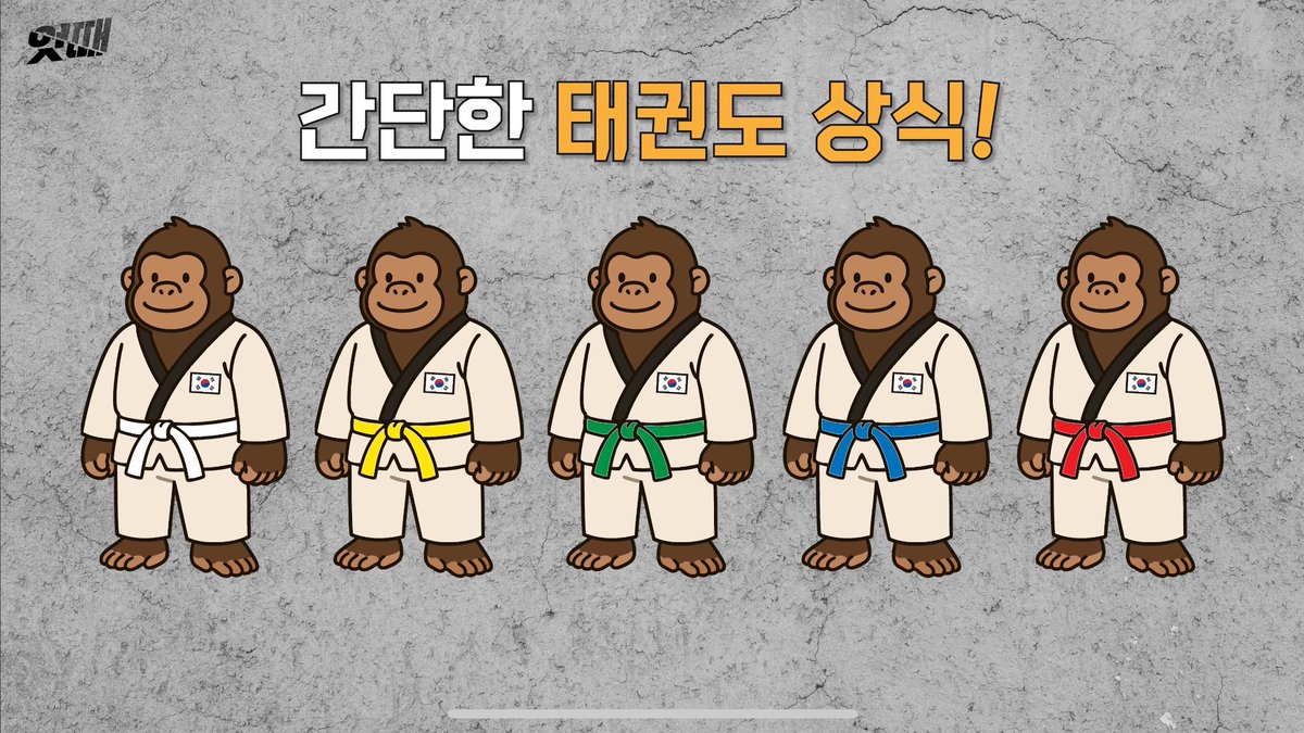 아ㅁㅊ 엇때 제작진 미쳤나
오직 태권도복 띠 색상 소개하려고 고릴라 일러스트를 깎았다고 ???