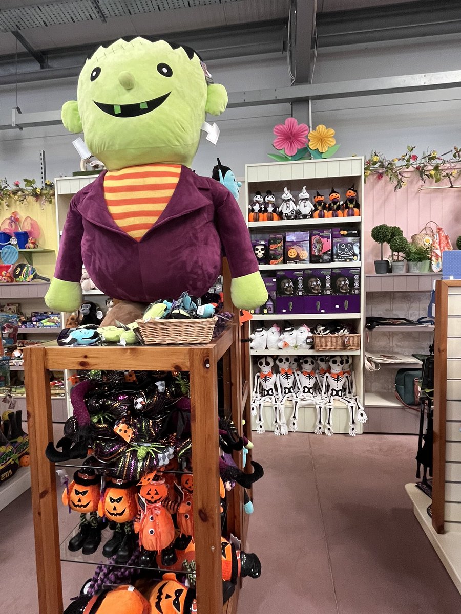 Crikey, it’s only August! 🙈🎃 #halloween #summerisover