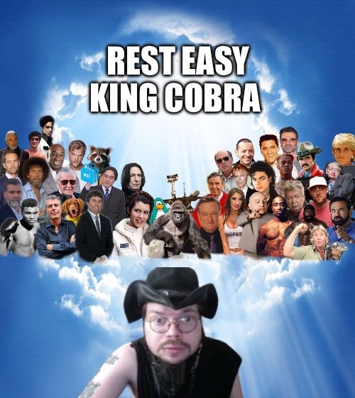 rip King Cobra JSF