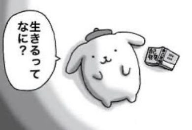 ❤︎†腐り加工厨めろちゃま_xx (@r_in_0211) on Twitter photo いまこんなかんじ いまこんなかんじ