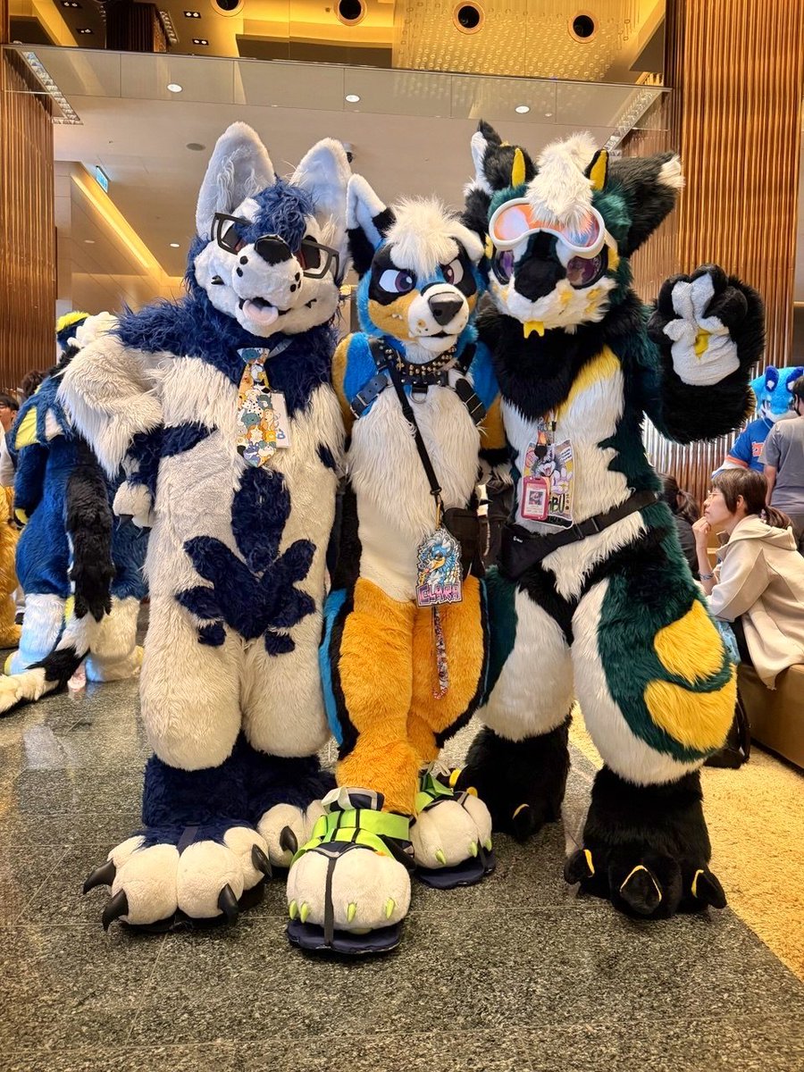 First family photo with my eldest brother &amp; our maker Clara! I'm so happy to finally meet another sibling!!! 😍😍😍🥰🥰🥰
From left: <a href="/gudakuma0224/">赫爾維斯🐻&HERB🐺&Nacht🐻</a> , <a href="/ClaraCoydog/">Clara 🌹✨</a> 
#FursuitsFriday