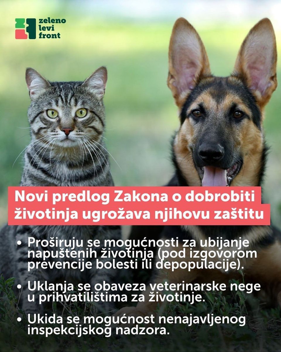 🐾 Radna verzija novog Zakona o dobrobiti životinja donosi opasne promene:

- širi se mogućnost ubijanja napuštenih životinja,
- ukida se obavezna veterinarska nega u prihvatilištima,
- ukida se nenajavljeni inspekcijski nadzor.

Zahtevamo da se nacrt zakona vrati na doradu i da