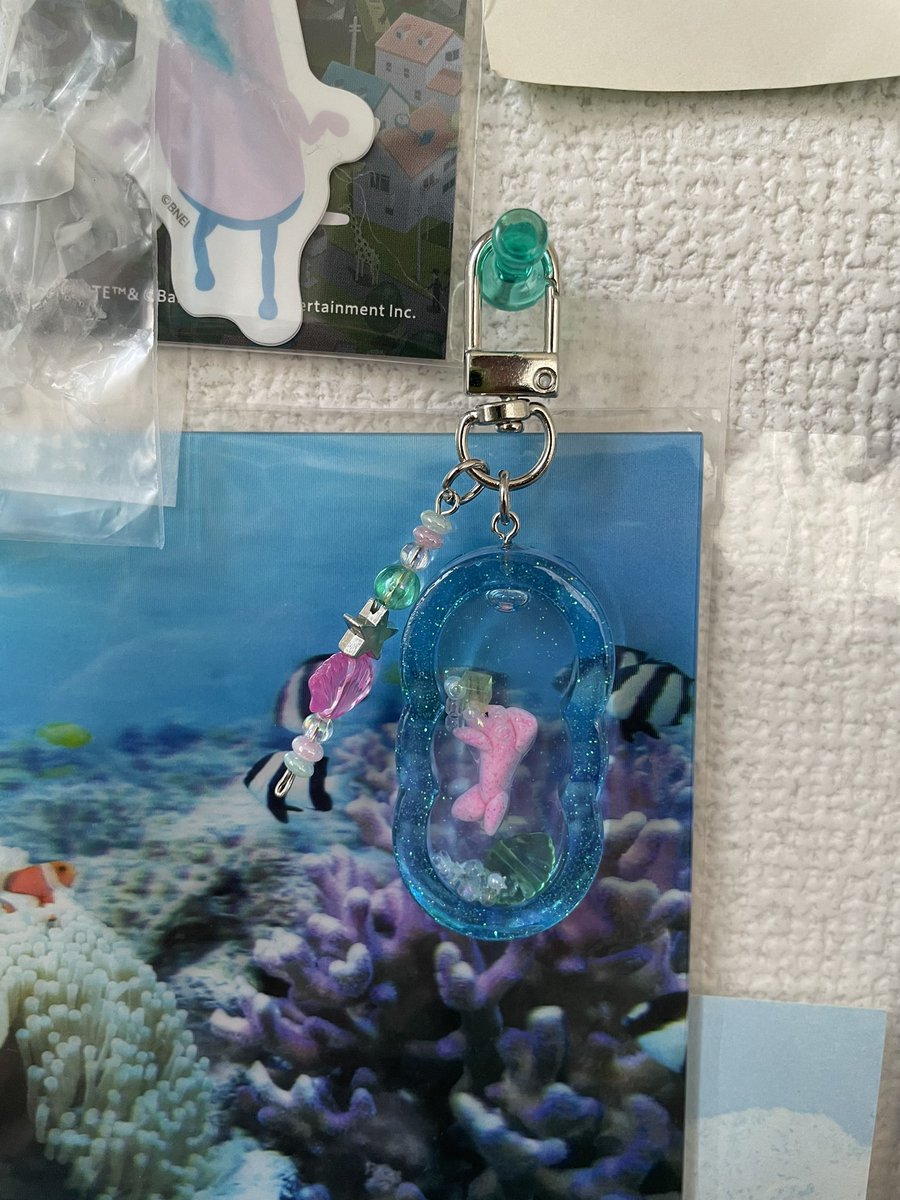 🐬🌴⋆✴︎˚｡⋆