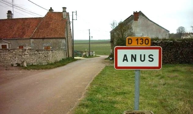 "We'd best not have come all this way just for you to take another stupid photo" ........guessing they're pining for the days when I just made them pose with the sign for 'Gits'