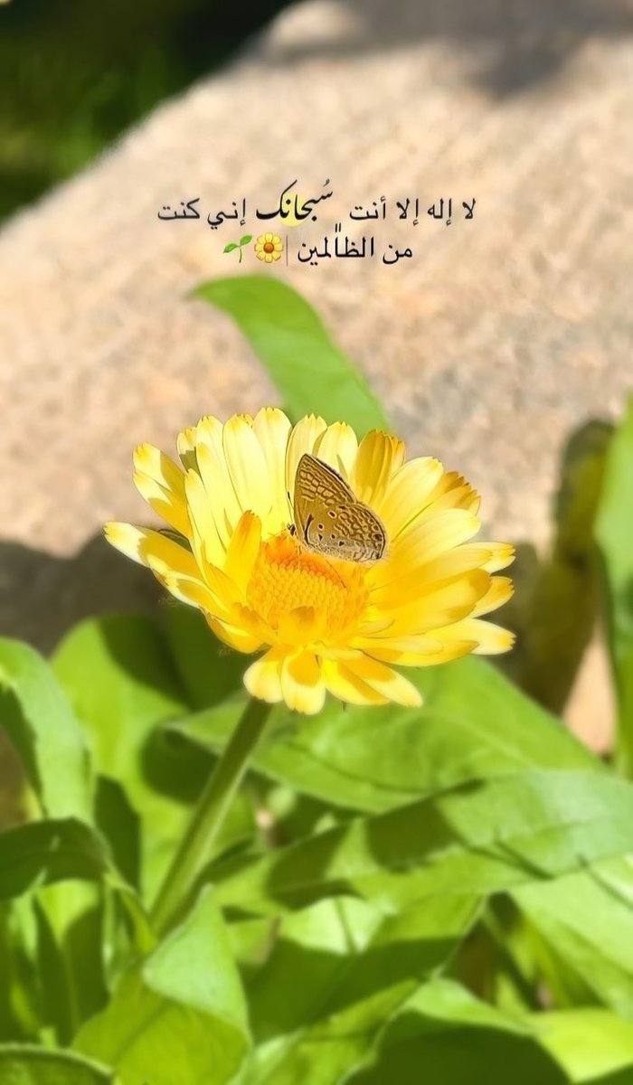 في داخلي يا ربُّ لهفةُ يوسف
يدعوك غوثًا حين أظلمَ جُبّه♥️.