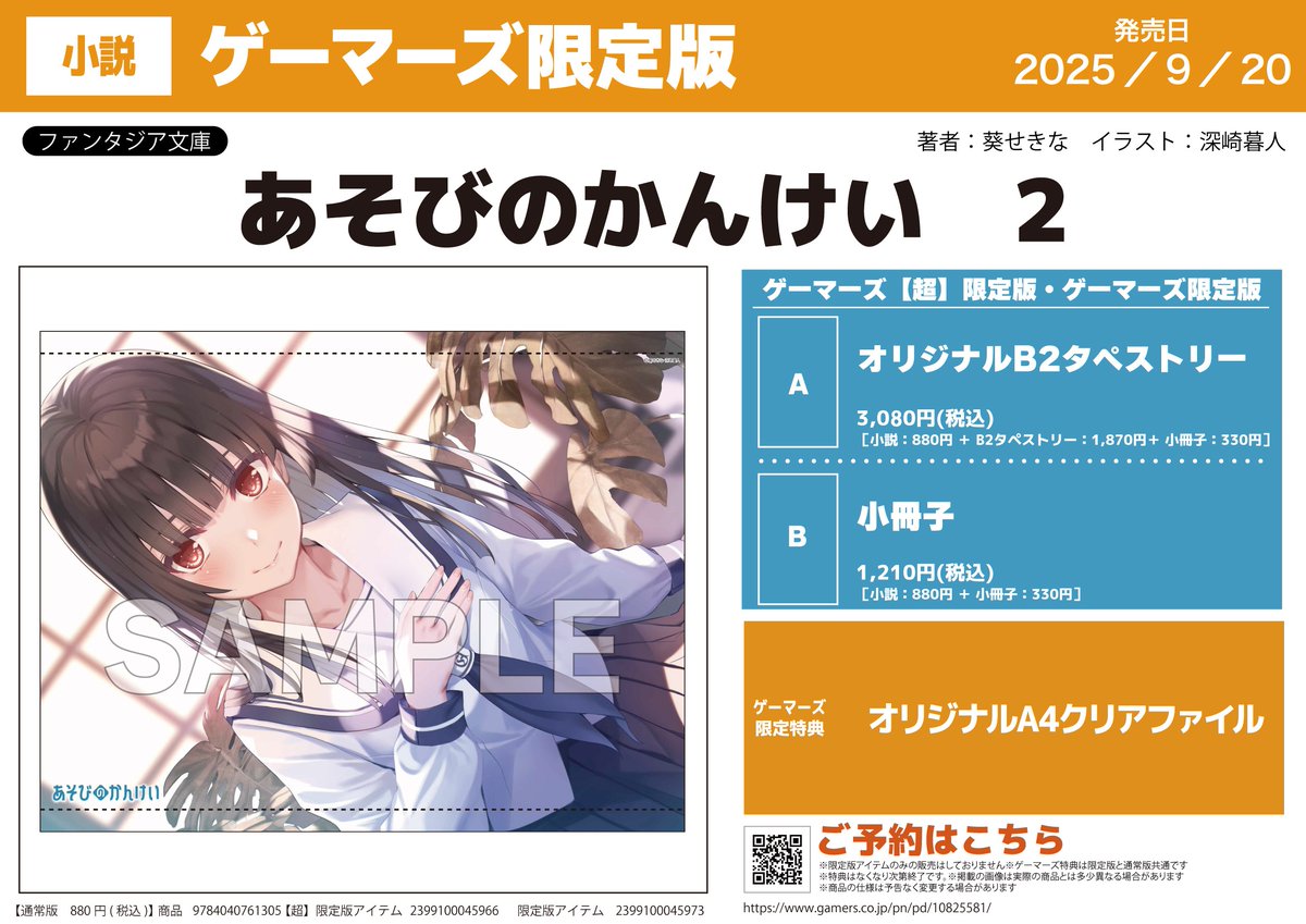 書籍／予約】 あそびのかんけい 2 予約受付中です✨️ ゲーマーズ限定