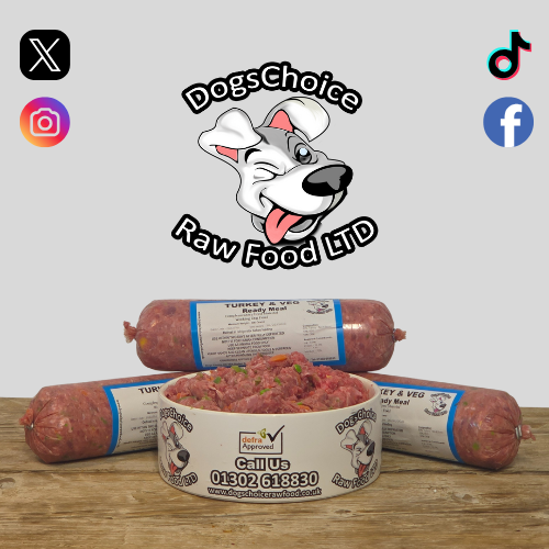 dogschoiceuk's tweet photo. Turkey &amp; Veg Ready Meal, Who Doesn't Love Turkey.

https://t.co/rA4grlLbOk

#rawdog #raw #dogs #food #realfood https://t.co/DBqLseOuf8