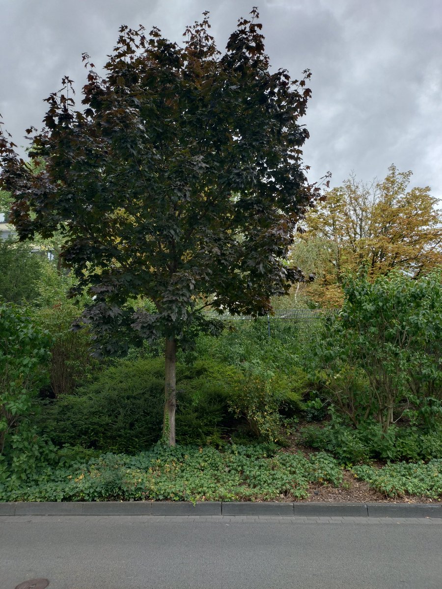 Mr_Valtiel 🥔 tweet media