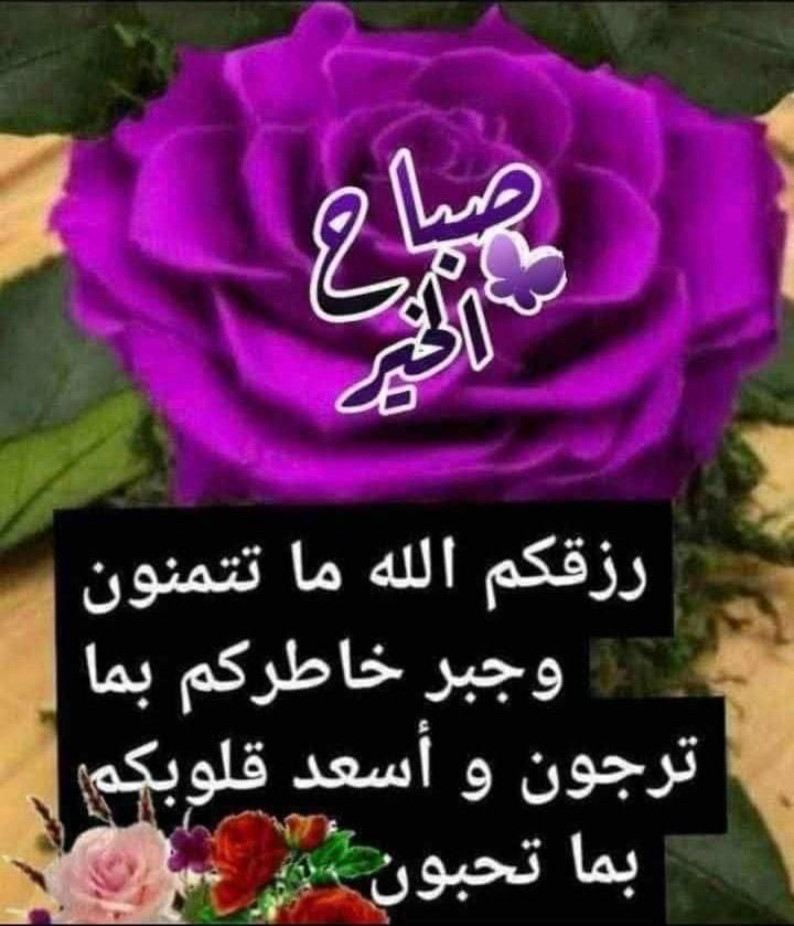 ✍️  همسة الصباح ..
قال تعالى :
( وإذا سألك عبادى عنى فإنى قريب أجيب دعوة الداع إذا دعان )
🍁 هنا الأمان فلا تجزع وهنا الرجاء فلا تقنط ..
🍁 فالدعاء هو العبادة ، فما أسعد المتقربين إلى الله بها ...
💐صباحكم دعوات مجابة وجمعة طيبة💐