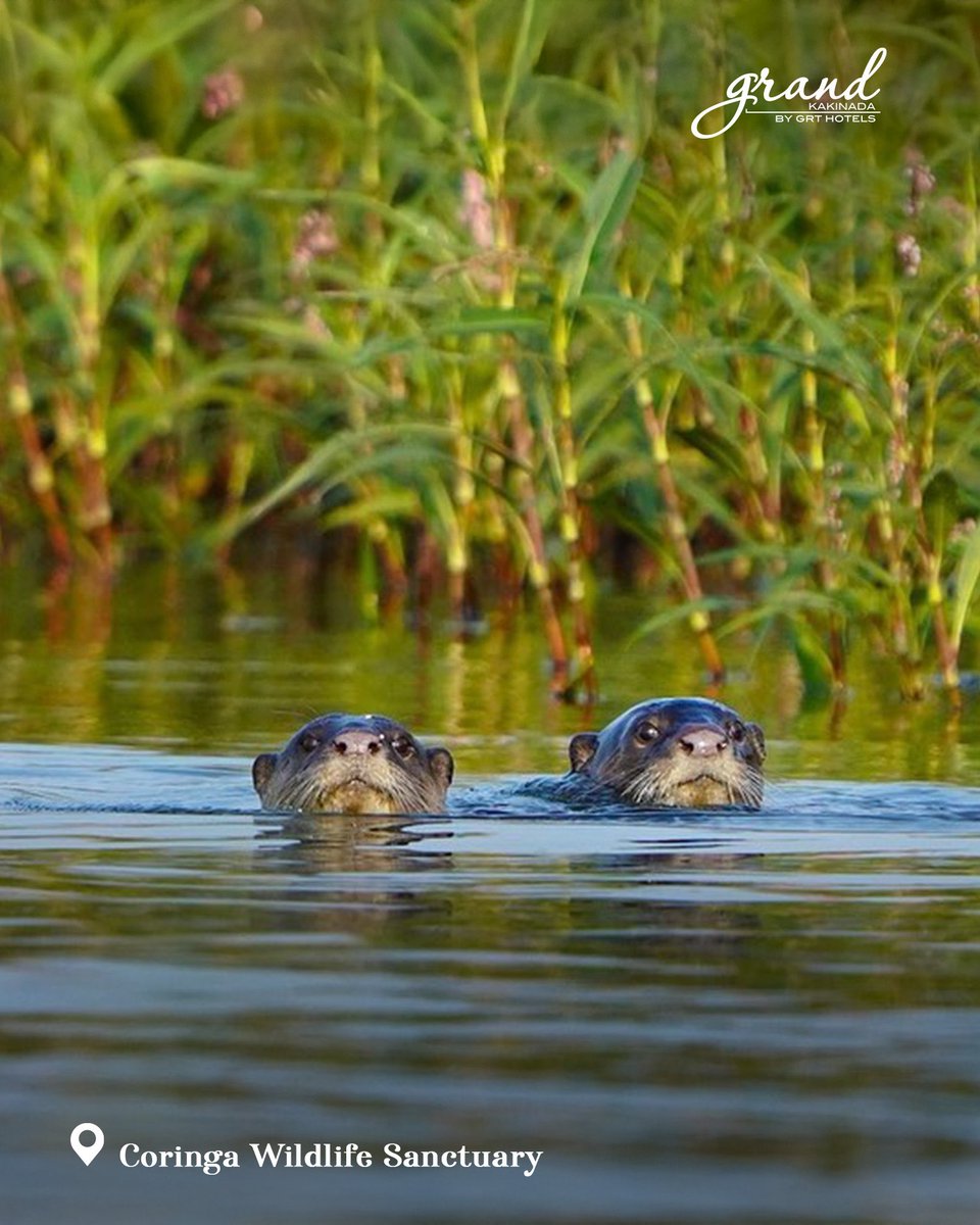 GRT Hotels & Resorts tweet media