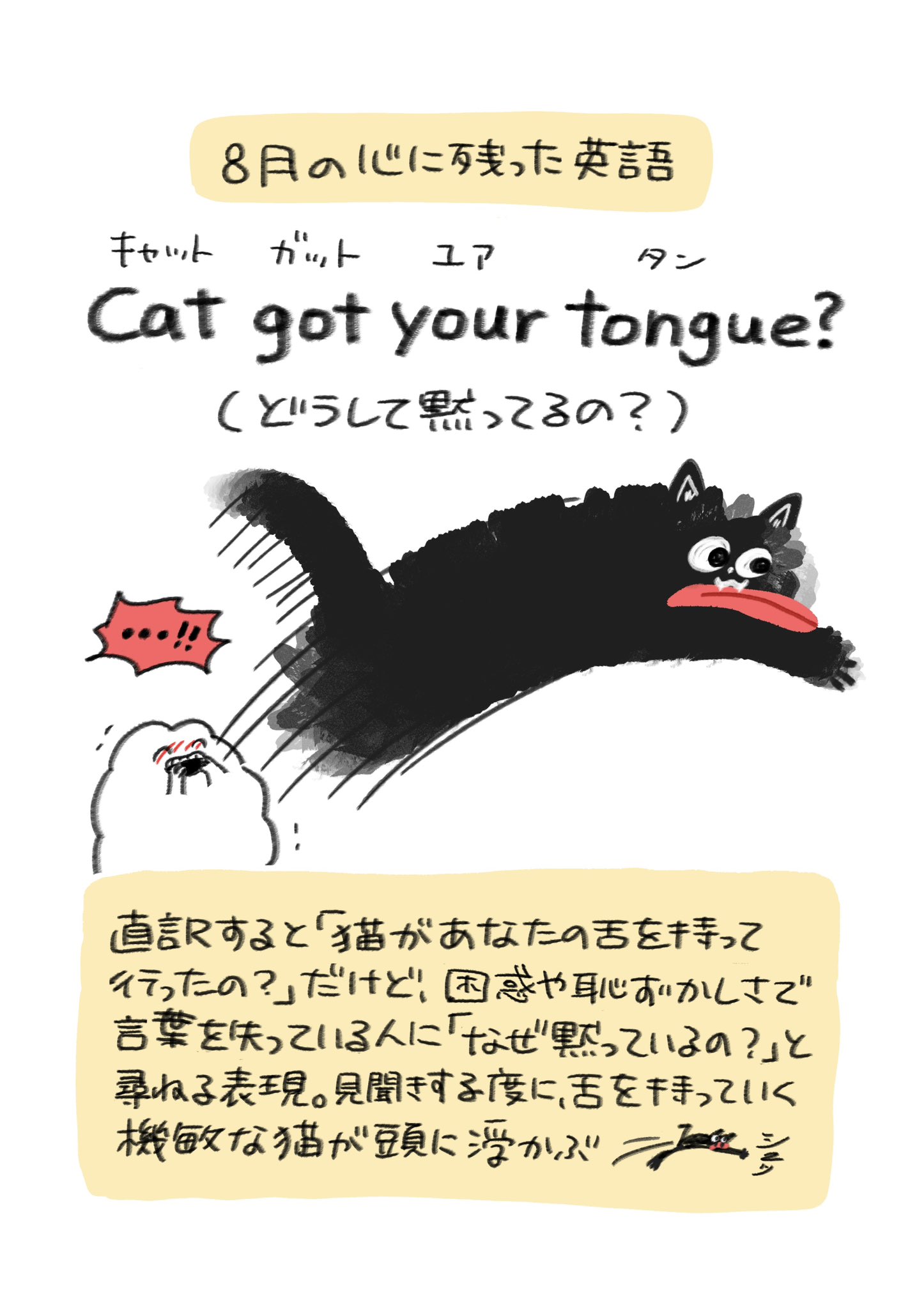 猫舌成長期様 リクエスト 2点 まとめ商品 配送連絡】猫舌ふーふーが本日配送されました！ | 猫舌ふーふー