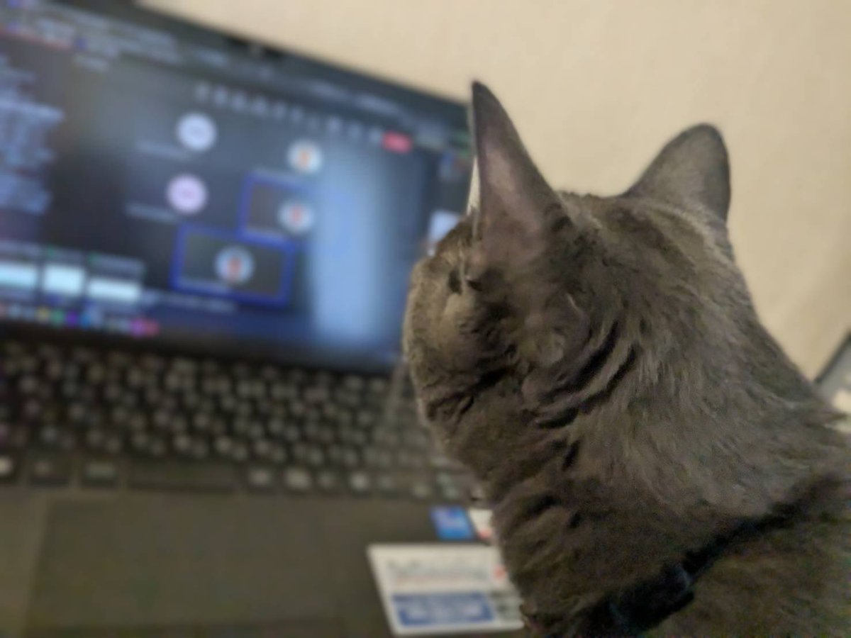 本日は、リモートワーク
会議には諭吉も参加w