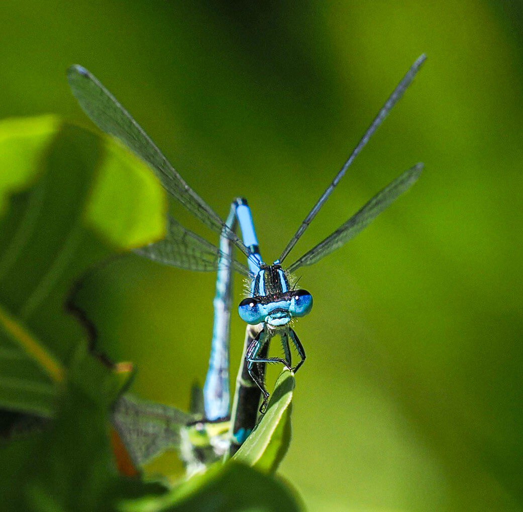 Andrew Thomas tweet media