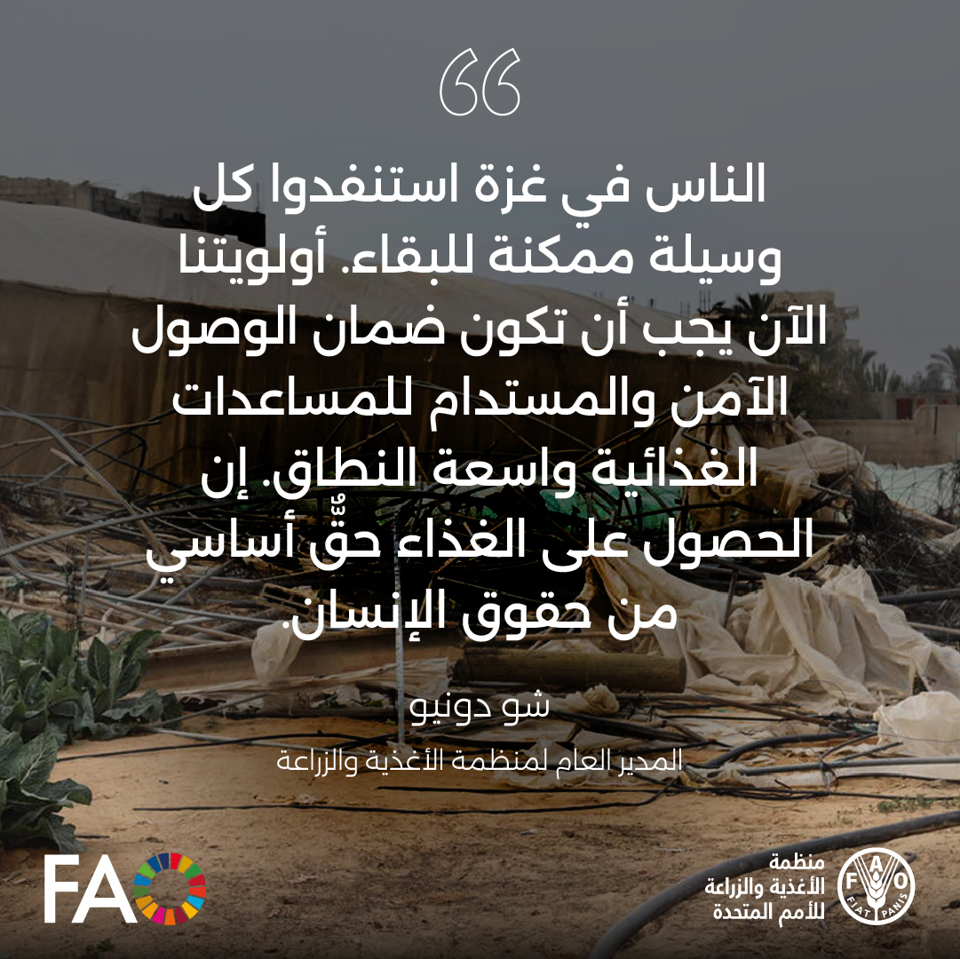 الفاو بالعربي tweet media