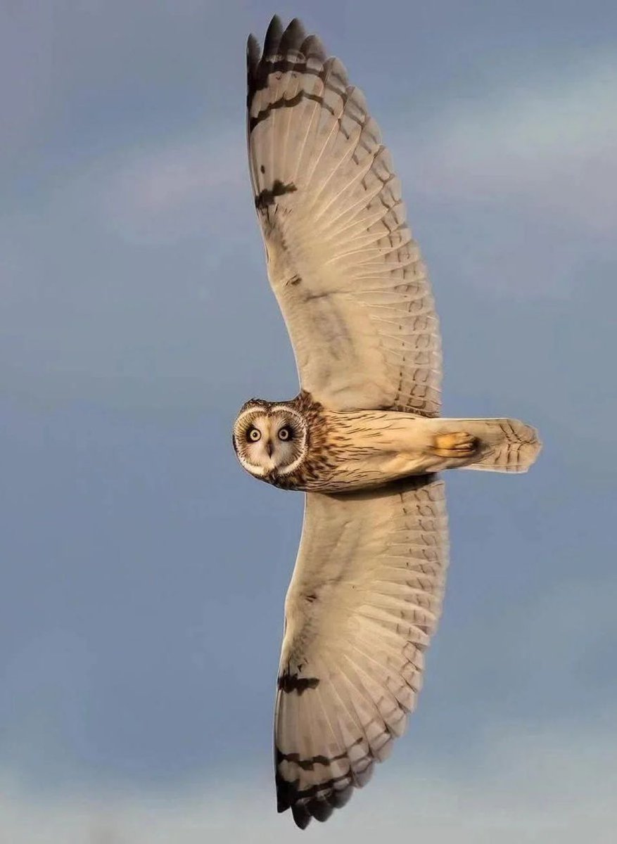 Shot of a lifetime

📸: Ian Turner