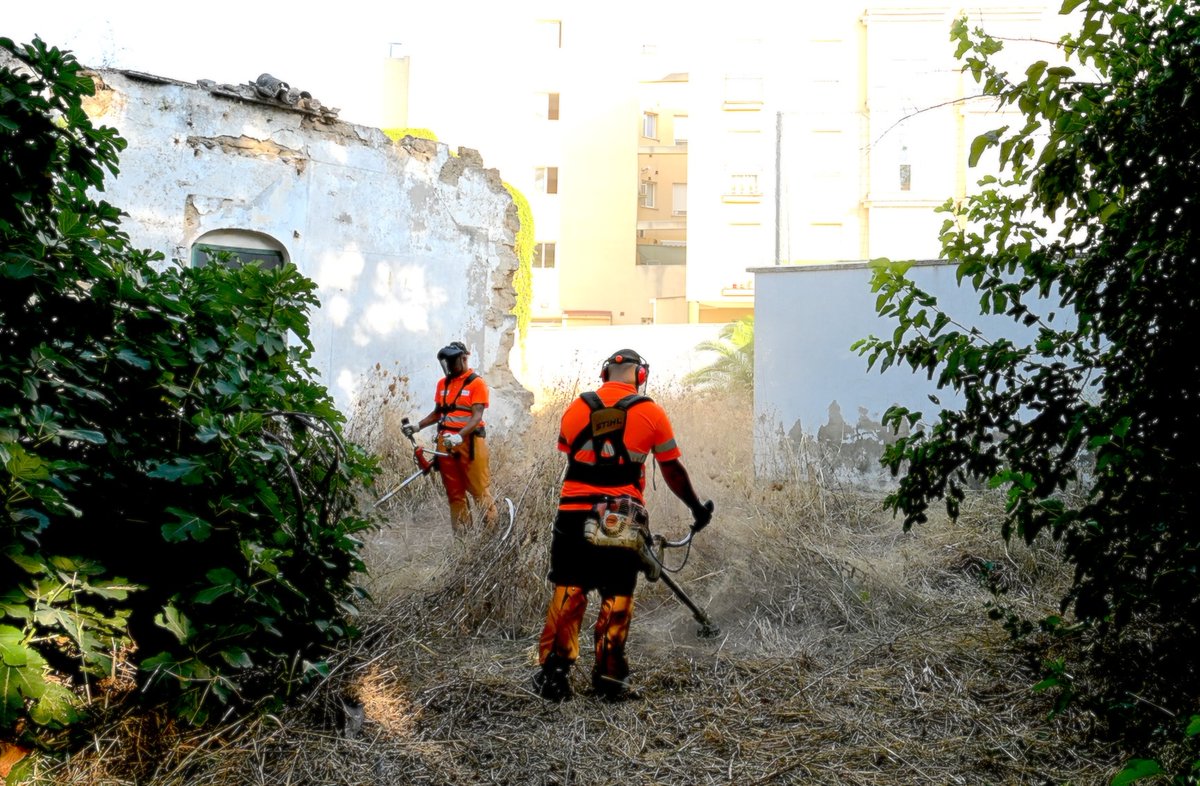 El <a href="/ciudadjerez/">Ayuntamiento de Jerez</a>  continúa las labores de desbroce en diferentes puntos de la ciudad y en el interior de colegios con vistas al inicio del curso
El  objetivo es evitar el riesgo de incendios y mejorar la salubridad y la imagen de cada zona de actuación