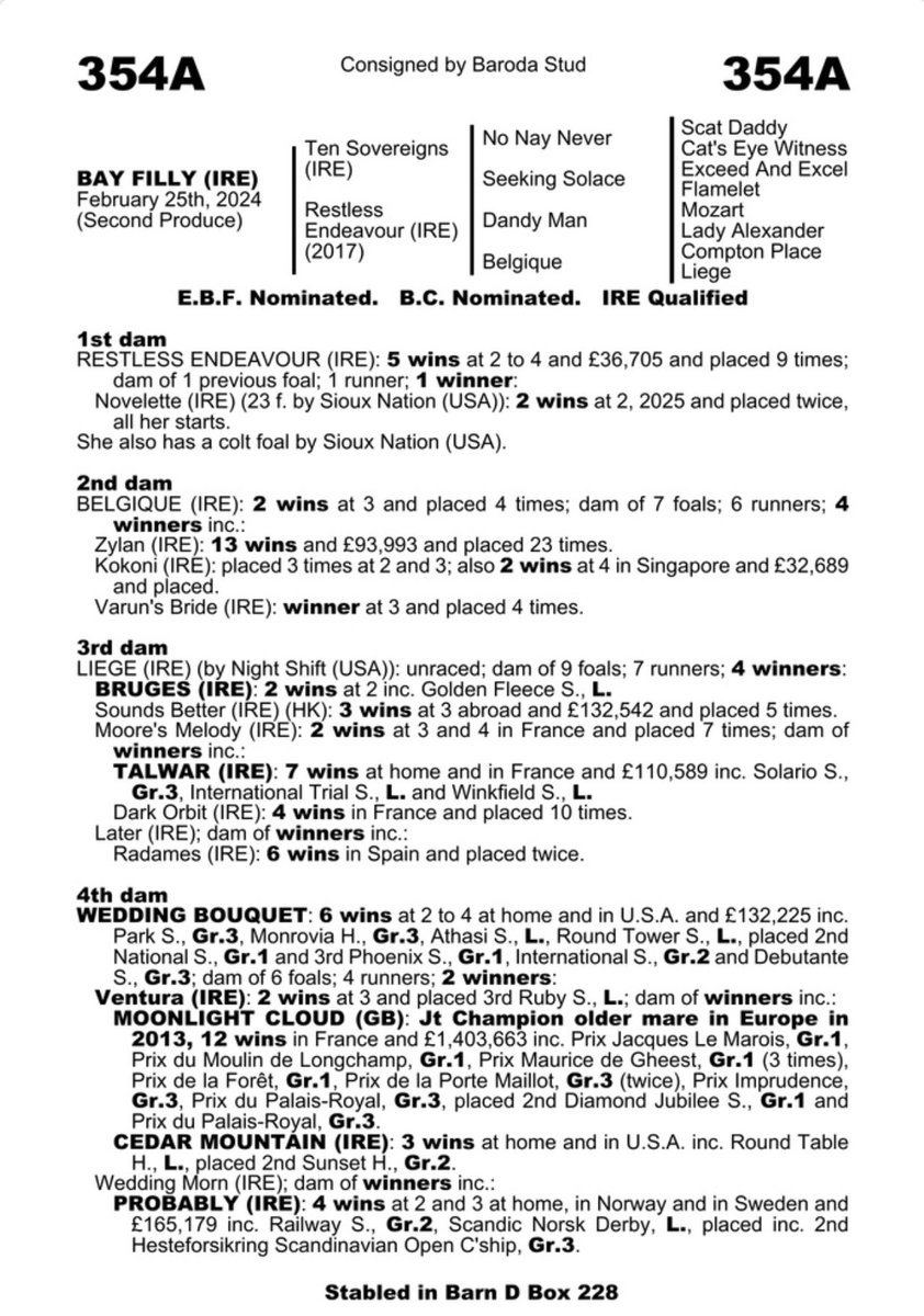 GoffsUK's tweet photo. Two Supplementary entries have been added to the Doncaster Premier Yearling Sale 🚨

𝐋𝐨𝐭 𝟏𝟗𝟏𝐀 - 𝐍𝐚𝐯𝐚𝐥 𝐂𝐫𝐨𝐰𝐧 𝐜𝐨𝐥𝐭 𝐟𝐫𝐨𝐦 @AnnaSundstr 

𝐋𝐨𝐭 𝟑𝟓𝟒𝐀 - 𝐓𝐞𝐧 𝐒𝐨𝐯𝐞𝐫𝐞𝐢𝐠𝐧𝐬 𝐟𝐢𝐥𝐥𝐲 𝐟𝐫𝐨𝐦 @BarodaStudIre 

📕https://t.co/xdoWu47uYE https://t.co/tzzsHtuAKM
