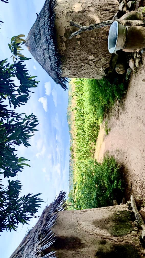 AphtalC's tweet image. Et puis il y a ceux qui manquent de tout, mais qui arrivent à tout donner.

Ceux qui ont d'énormes besoins mais savent que rien ici bas ne leur appartient.

🌍📍 Warkambou, (Tône 3). Savanes. Togo.

#DestinationTogo #Team228 #Tgtwittos