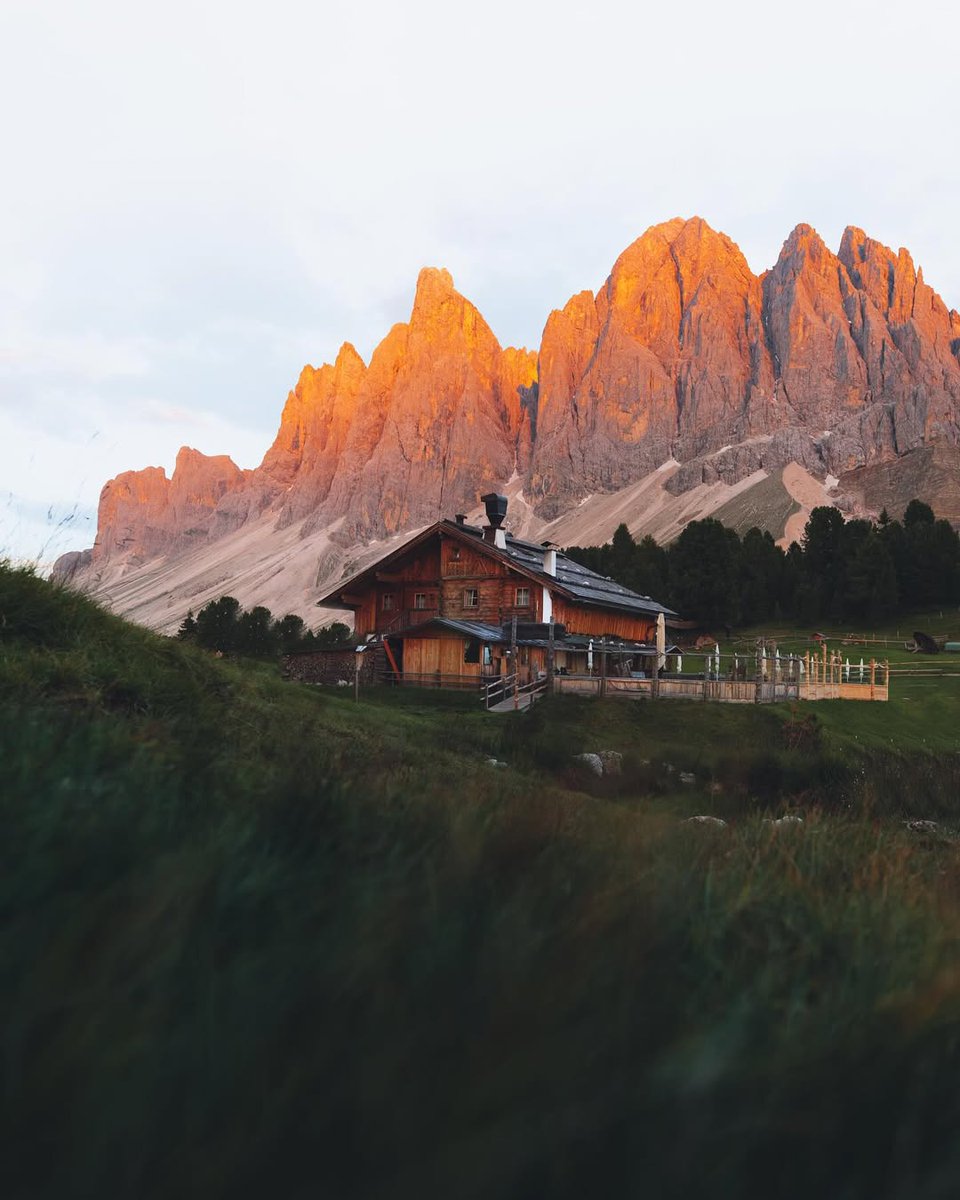 𝘄𝗮𝗻𝗱𝗲𝗿𝘁𝗿𝗮𝘃𝗲𝗹𝘀 tweet media