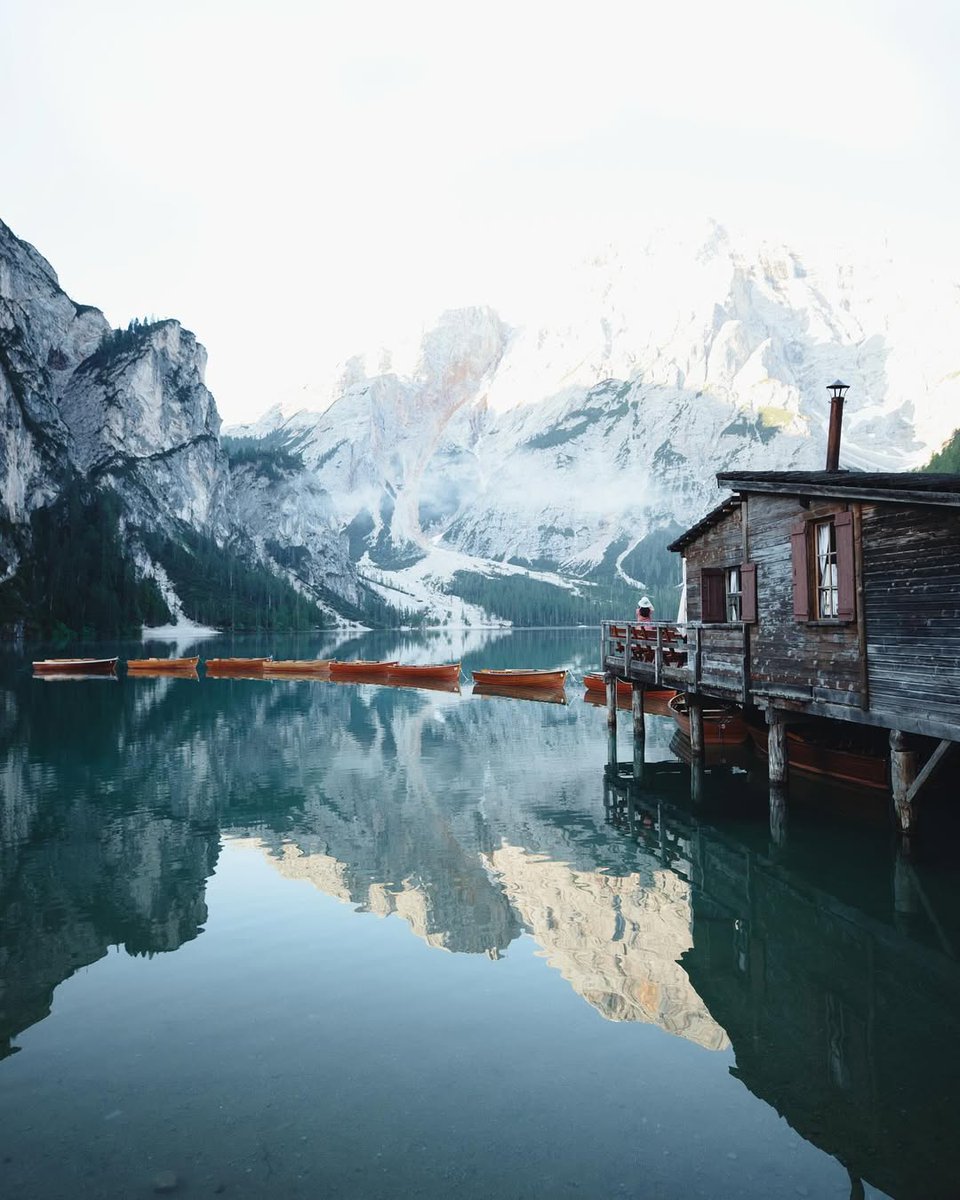 𝘄𝗮𝗻𝗱𝗲𝗿𝘁𝗿𝗮𝘃𝗲𝗹𝘀 tweet media