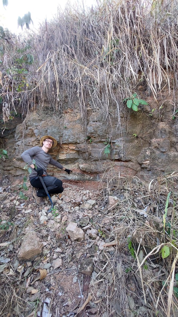 RafaelDelcourt's tweet image. #fossilfriday with a couple of friends in the last field season. Dinosaurs, turtles and crocs from Cretaceous of Brazil.
