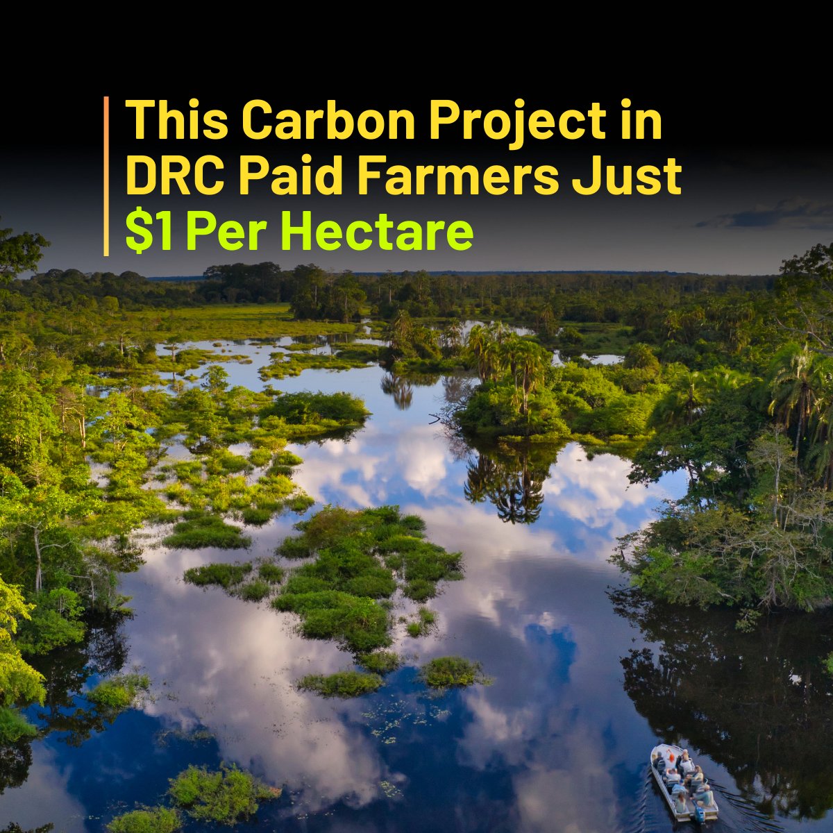 Power Shift Africa (@powershftafrica) on Twitter photo Farmers in the DRC were paid just $1 while others were forcefully evicted for a carbon project backed by T0talEnergies.
An exposé by Unearthed and SourceMaterial revealed that the project did not engage in free, prior informed consent, transparency or accountability.
In 2021, Farmers in the DRC were paid just $1 while others were forcefully evicted for a carbon project backed by T0talEnergies.
An exposé by Unearthed and SourceMaterial revealed that the project did not engage in free, prior informed consent, transparency or accountability.
In 2021,