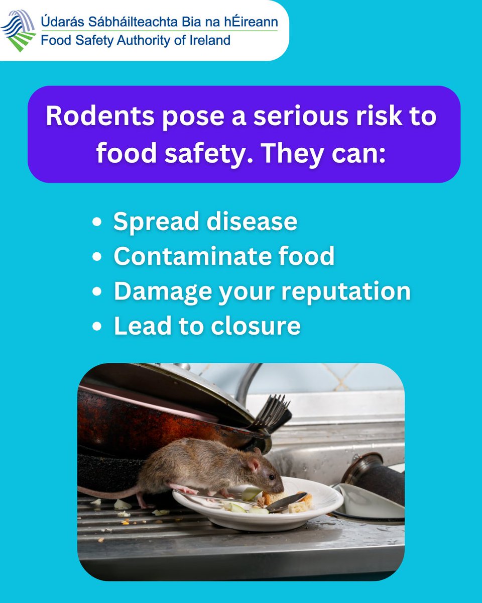 FSAIinfo's tweet image. 🐀 Don't let pests take over your premises! 🚫

Following last month’s Enforcement Orders, we’re reminding all food businesses of the importance of preventing and controlling pests.

 ow.ly/5OEM50WI4Hp

#FoodSafety #FSAI #PestPrevention #RodentControl #FoodBusinessTips