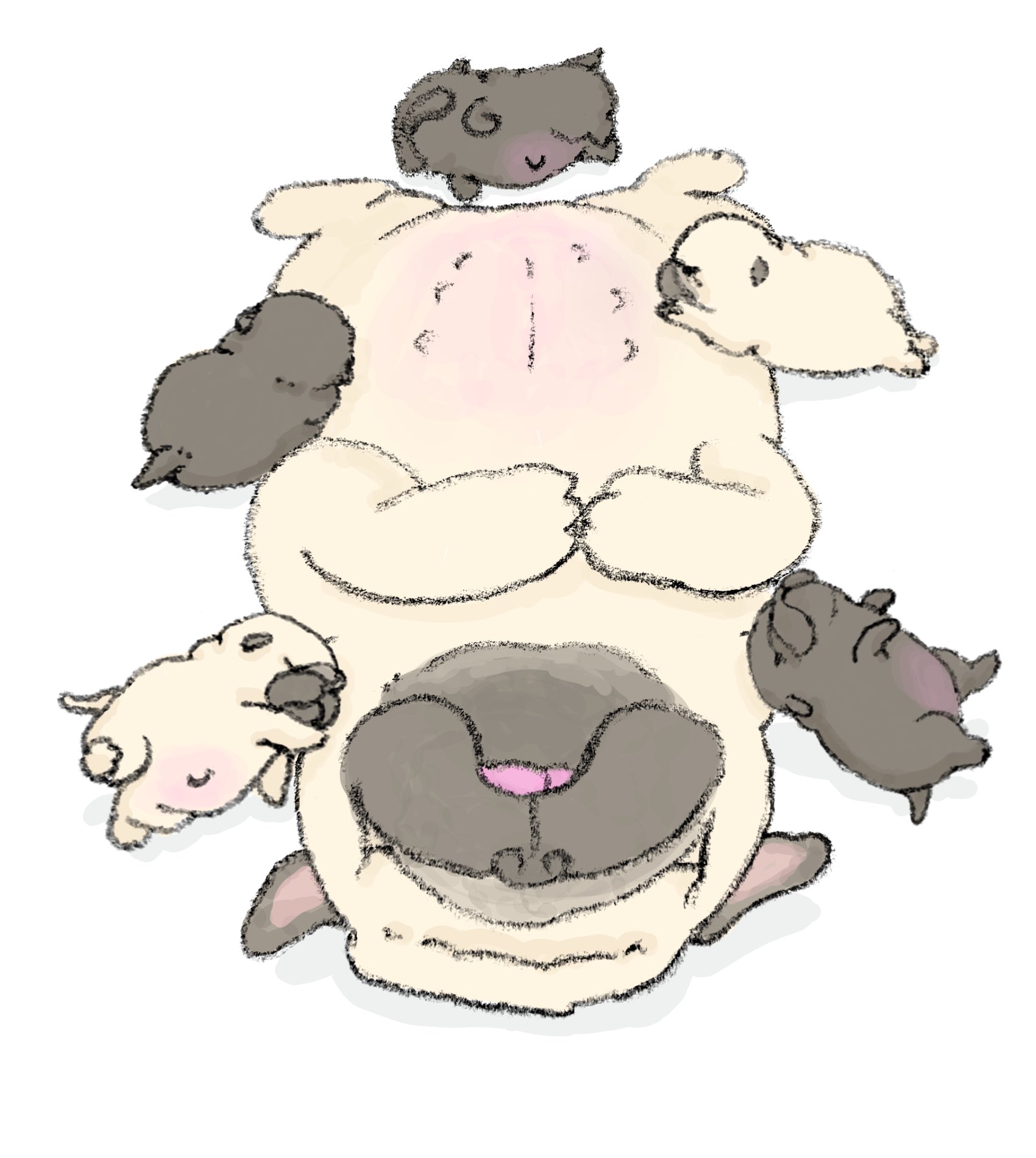 ハナちゃん (@89no87chan) / X