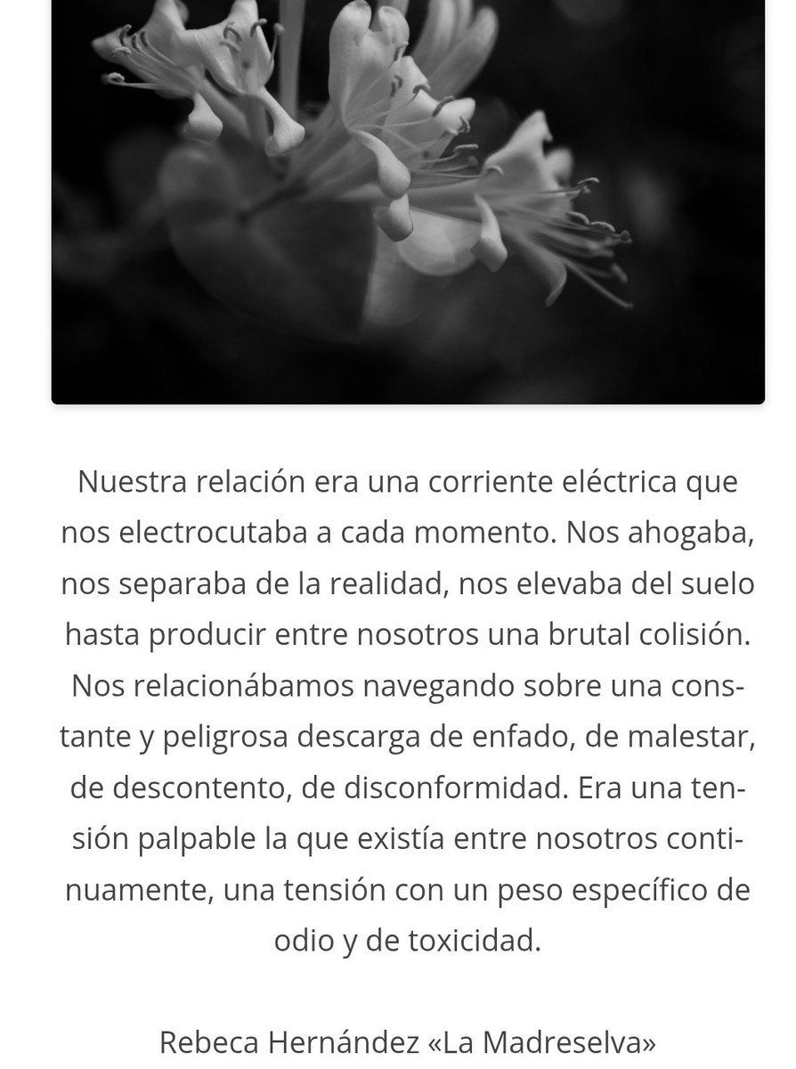 En el blog Última Emoción 🙏✨️
ultimaemocion2.wordpress.com/2025/08/21/rel…