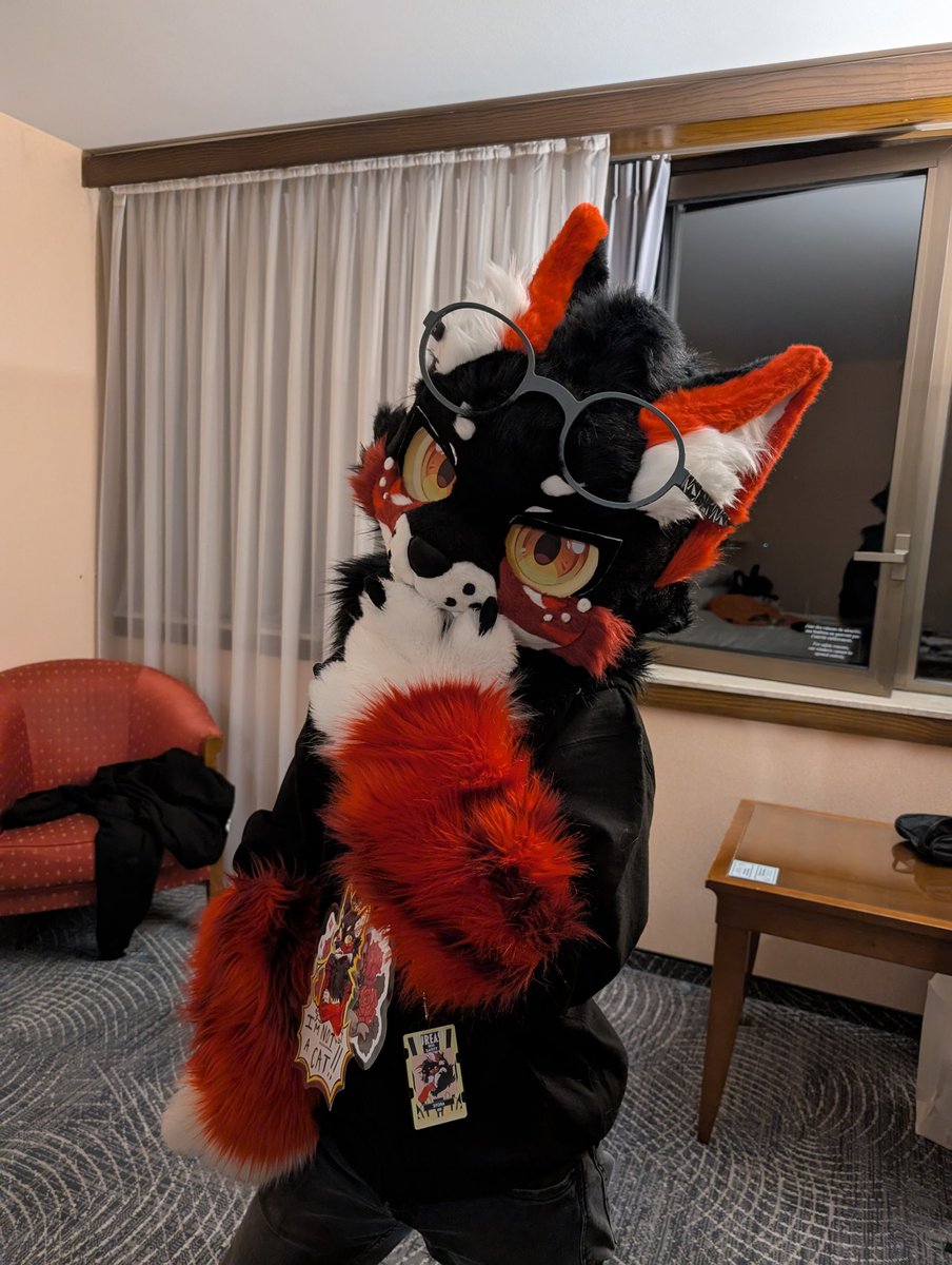 Let me take my pose.
Its good ?

#FursuitEveryday