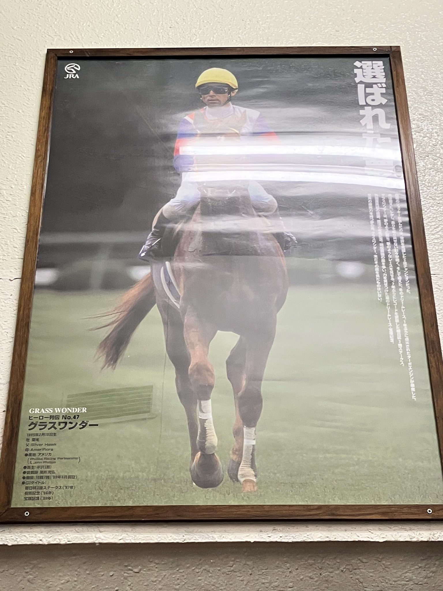 JRAヒーロー列伝 No.47 グラスワンダー JRAヒーロー列伝 No.47 グラスワンダー JRAヒーロー列伝 No.47