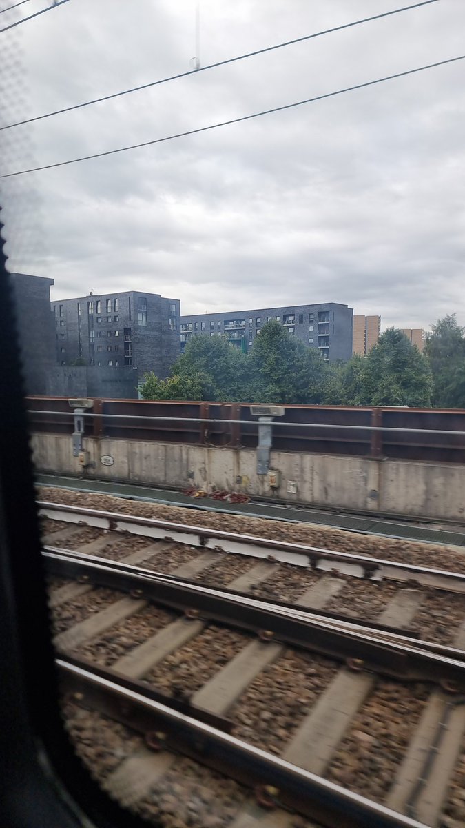 ZX 🐺 (@ZX_0191) / Posts / X