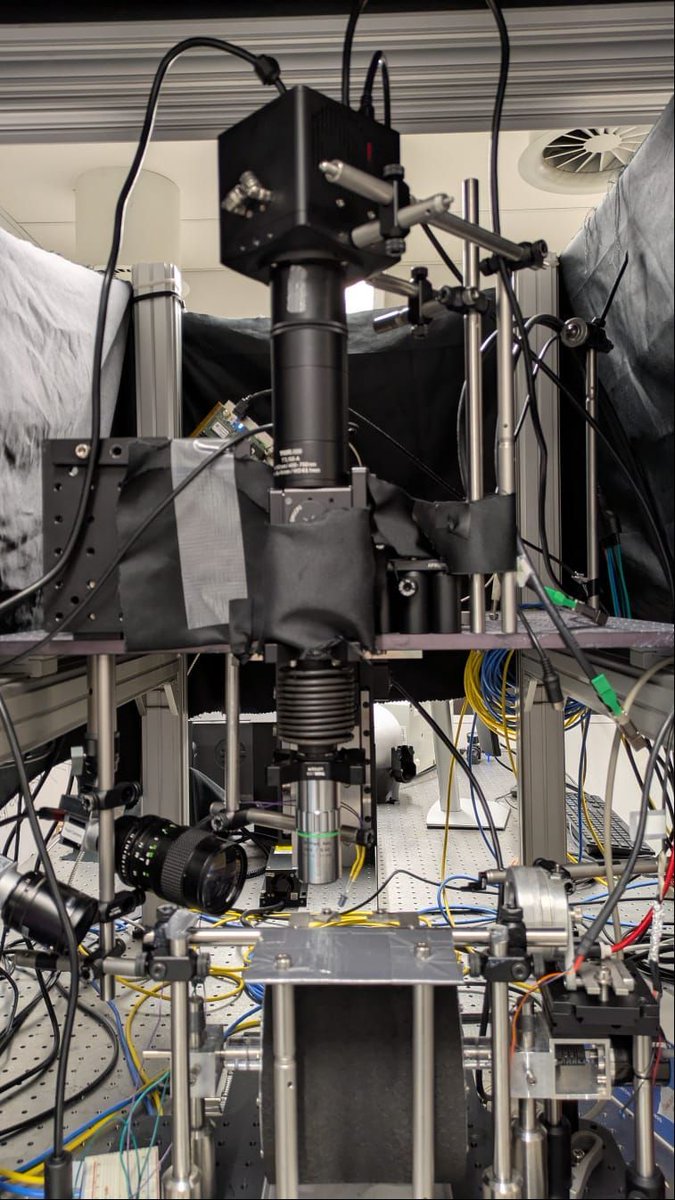 High speed imaging using voltage imaging - we've been doing some great demos of high speed voltage imaging using the Aries 6510 - We can't wait to try the Leo 5514 in early September!

See full Aries 6510 specs here: tucsen.com/aries-6510-pro…