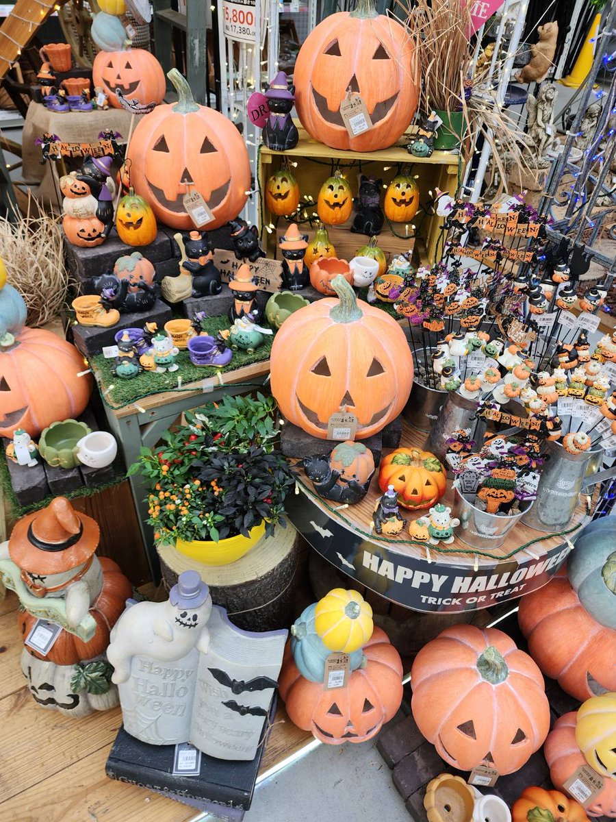 ジョイホン吉岡店 GREEN PARK】 トリックオアトリート！ ハロウィンが