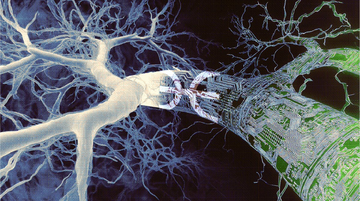 torus_network's tweet image. ♓️