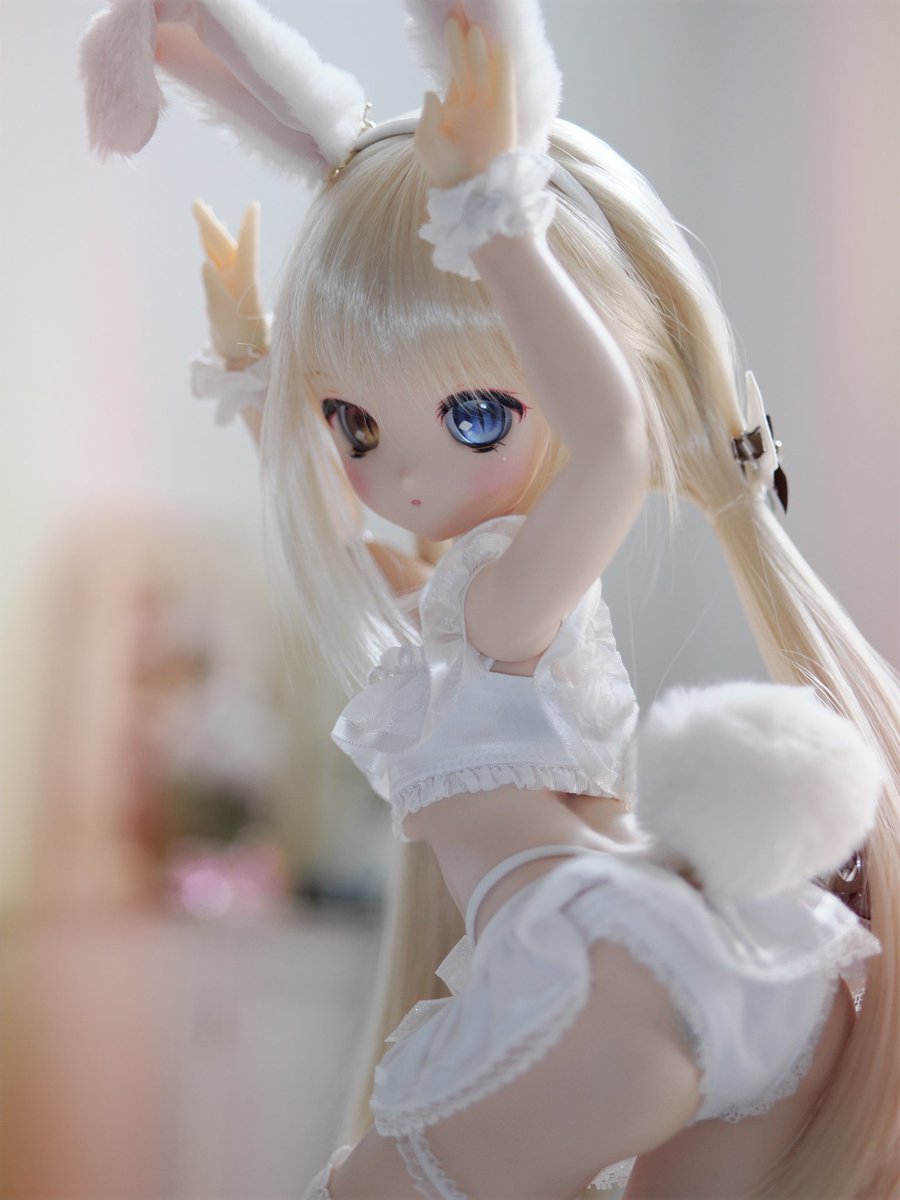 振り向きぴょん🎶
フワフワしっぽきゃわわ💕
#うちのこかわいい