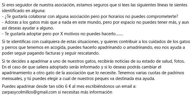 Si no puedes tenerlo, ¡apadrina o amadrina un gatito!  Te contamos como apadrinar a un zarpito y que nos ayudes con sus gastos. Recibirás  noticias de tu apadrinado y fotitos con sus actualizaciones! Escríbenos  a contacto@zarpasycolmillos.es y te informamos :)