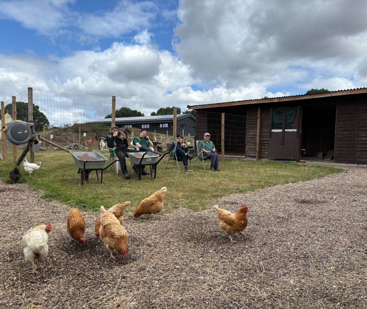 Newlands Bishop Farm tweet media