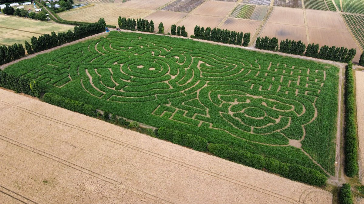 🌽The Maize Maze is here – and it’s spectacular!🌽
Using our GPS-guided Vaderstad Tempo 8 Row drill &amp; cross-drilling, we helped Stanhill Farm create a towering summer maze. Precision ag meets creativity

ow.ly/juTR50WIOJu

#FGSAgri #MaizeMaze #stanhillfarm