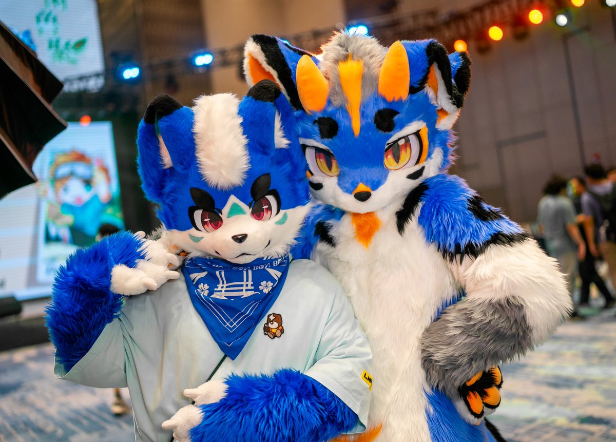 #Fursuitfriday
我们是蓝白色组合哦🥰🥰
→ <a href="/RuyueKisargi/">如月➞冬聚</a> 
📷 <a href="/Huze_Shadow/">Huze_Shadow</a>