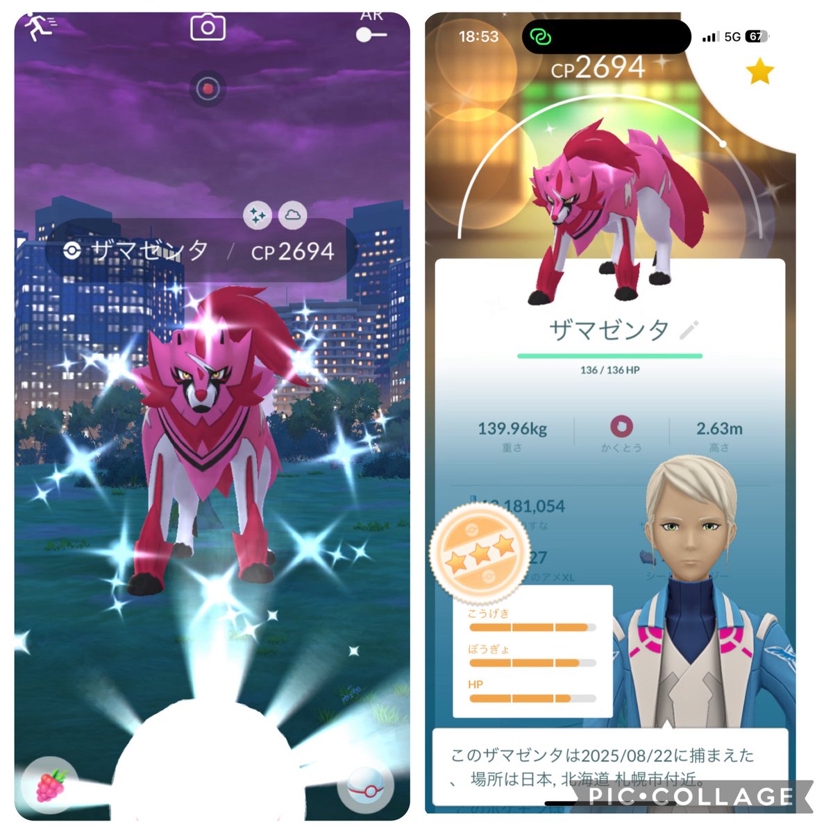 エナジーとアメ集めしてたら光った✨😆
アメXLぜんぜん足りない😇
#ザマゼンタ
#たてのおう