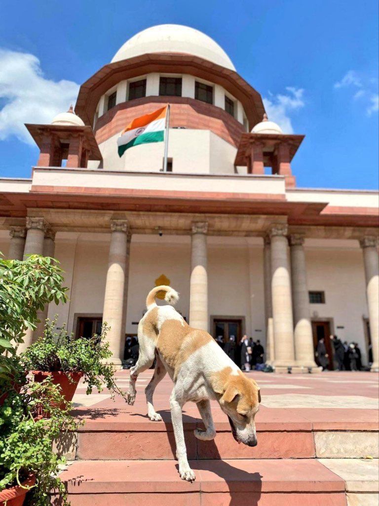 ARVIND AKSHAY 🤘🏾 tweet media